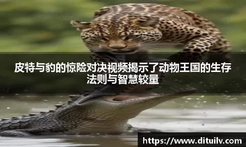 jn江南体育官网